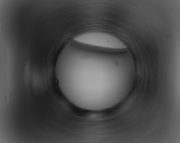 X0000096980220200802080906