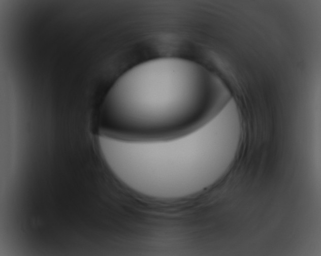 X0000096980221200802080906