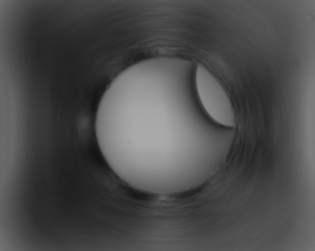 X0000096980222200802080906