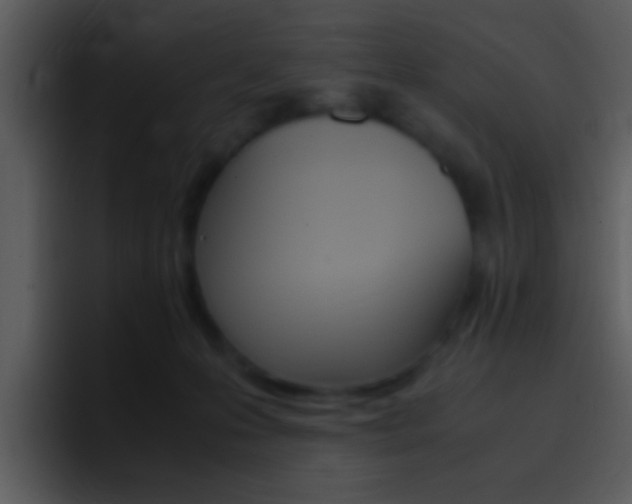 X0000096980223200802080906