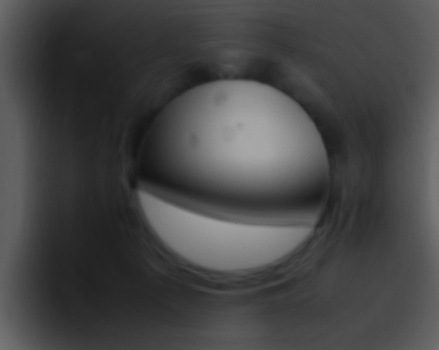X0000096980225200802080906