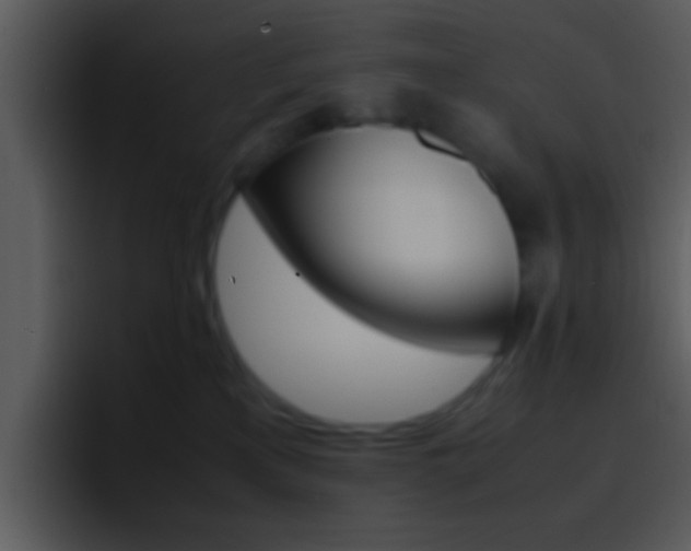X0000096980233200802080905