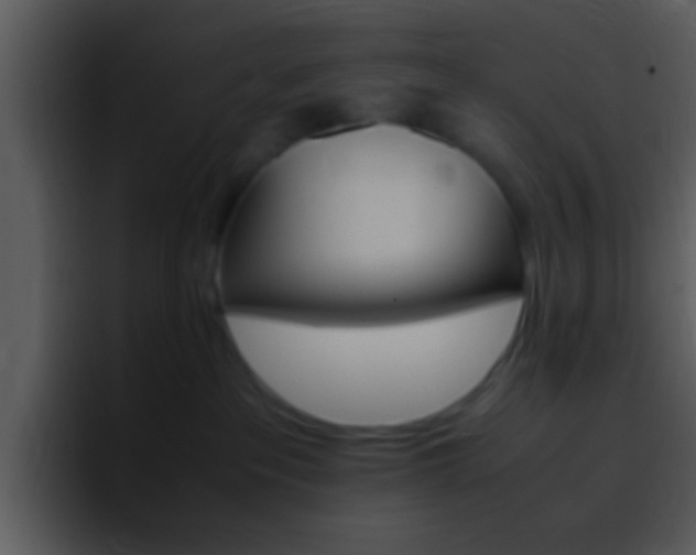 X0000096980237200802080905