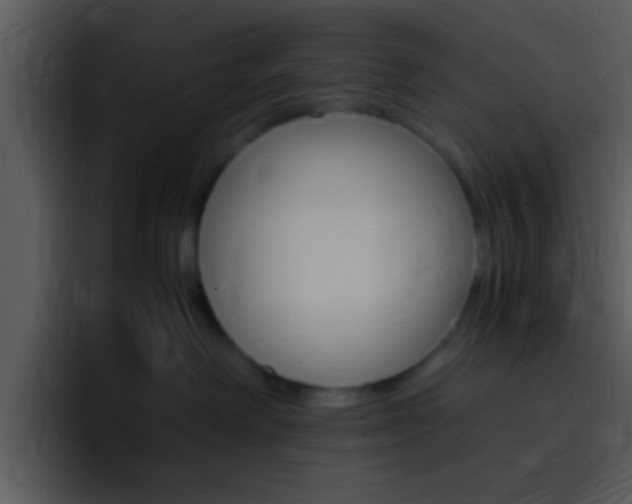 X0000096980238200802080905