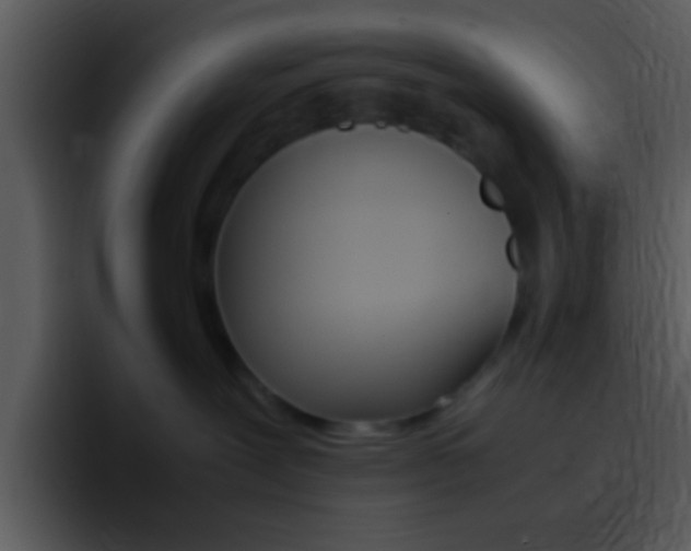 X0000096980239200802080905