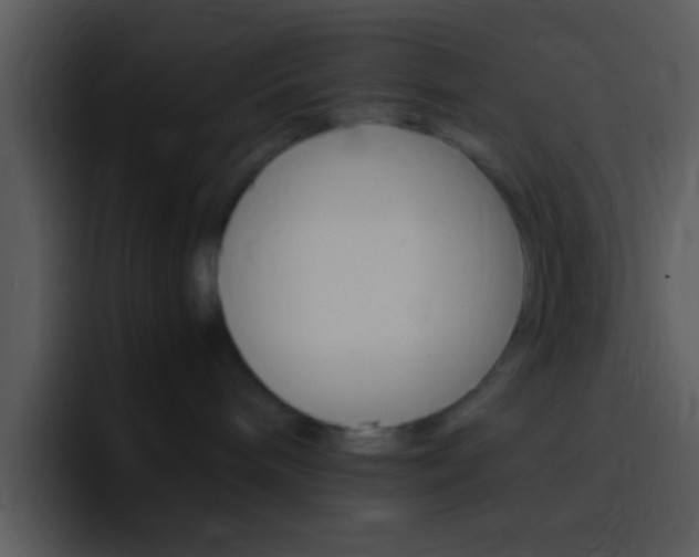 X0000096980240200802080905