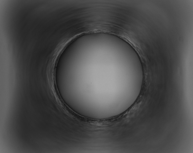 X0000096980241200802080905