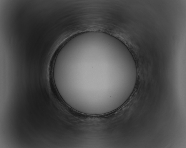 X0000096980242200802080905
