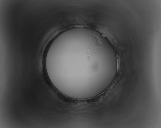 X0000096980243200802080905
