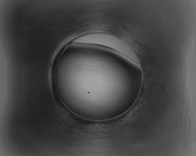 X0000096980244200802080905