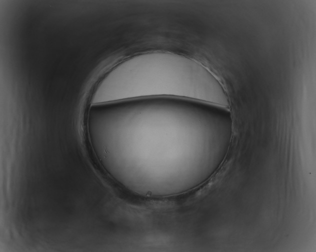 X0000096980245200802080905