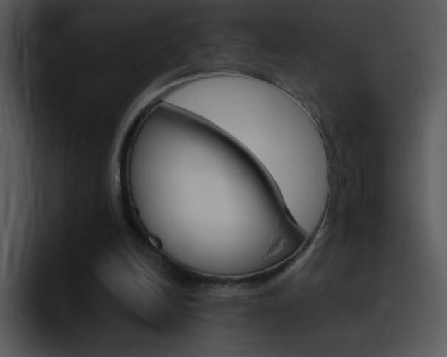 X0000096980246200802080905