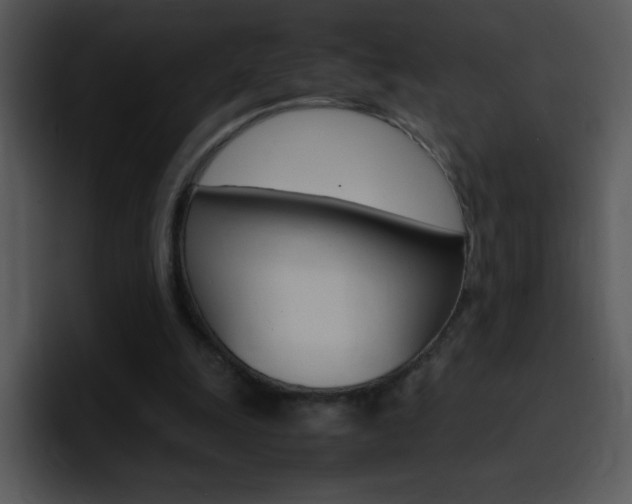 X0000096980247200802080905