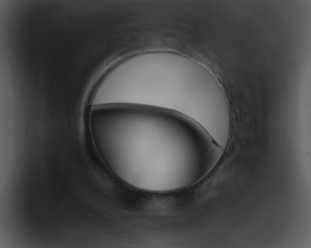 X0000096980248200802080905