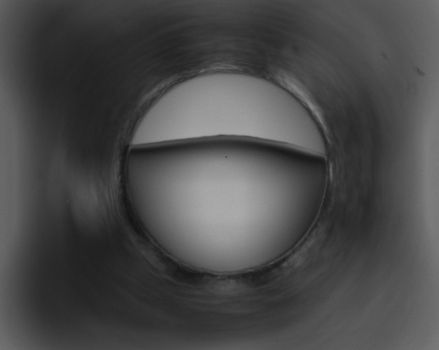 X0000096980249200802080905