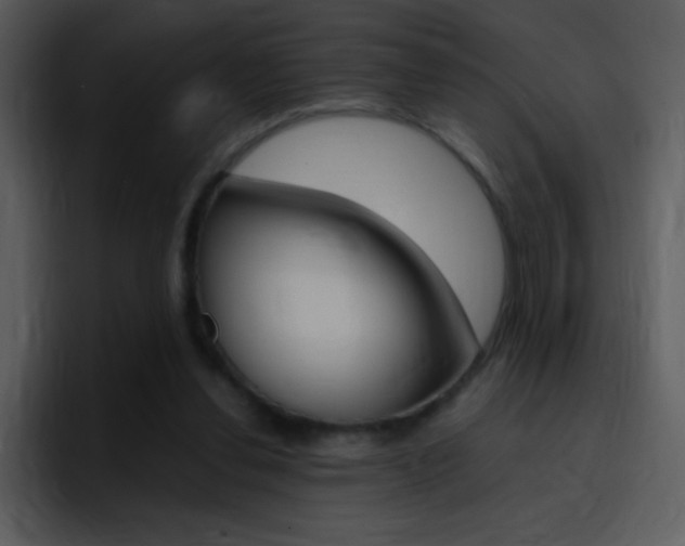 X0000096980252200802080905