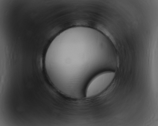 X0000096980253200802080905