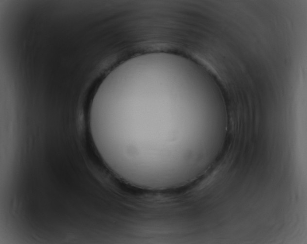 X0000096980254200802080905
