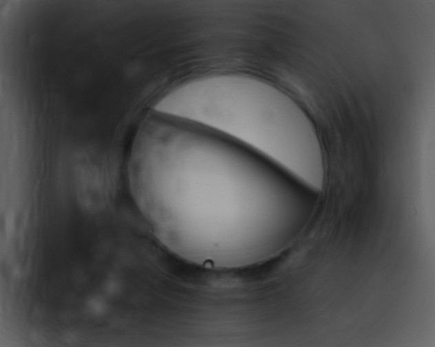 X0000096980258200802080905