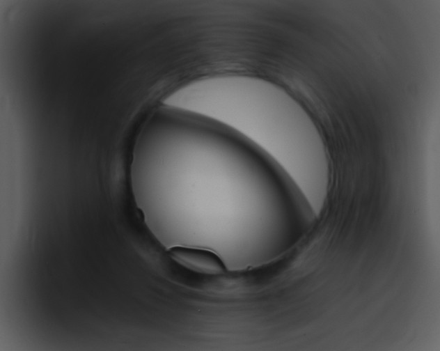 X0000096980260200802080905