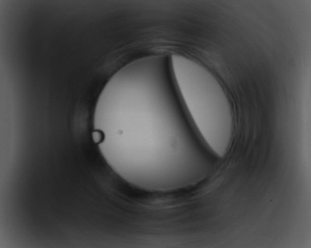 X0000096980263200802080905