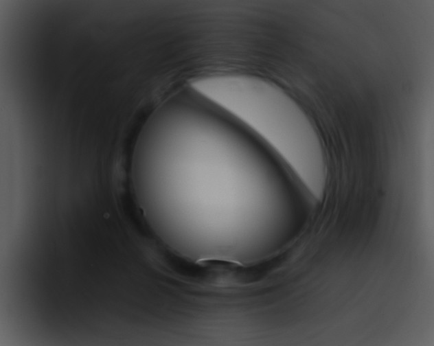 X0000096980264200802080905
