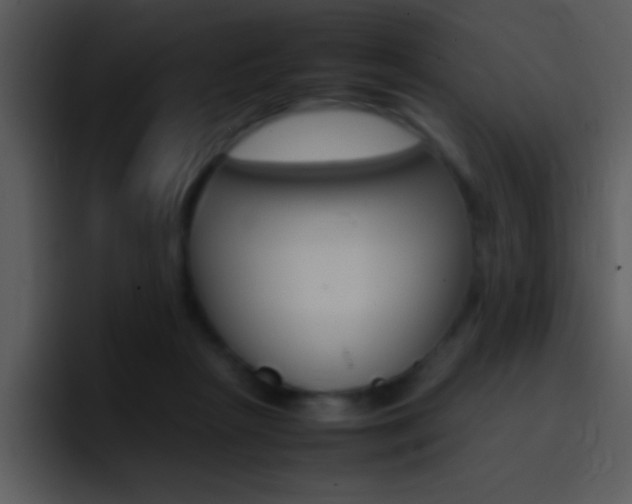 X0000096980265200802080905