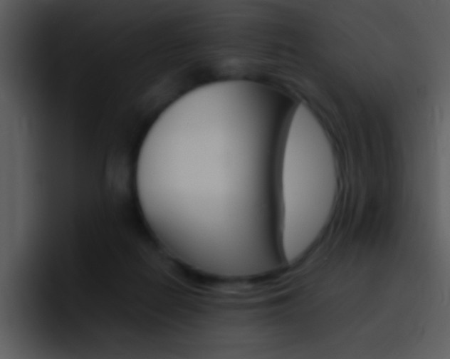 X0000096980266200802080905