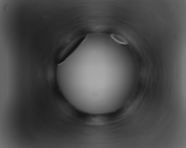 X0000096980268200802080905