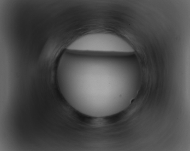 X0000096980269200802080905