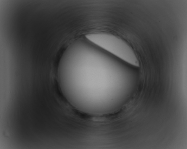 X0000096980272200802080905