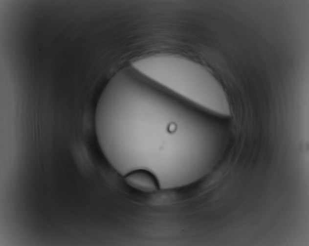 X0000096980274200802080905