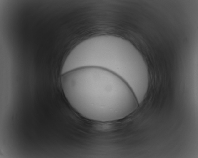 X0000096980276200802080905