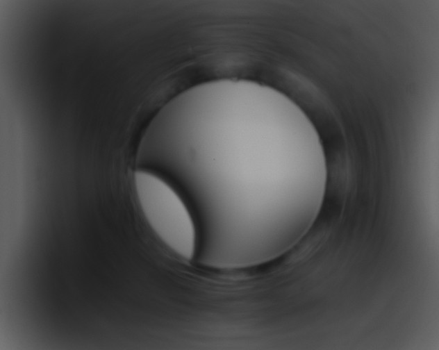 X0000096980278200802080905