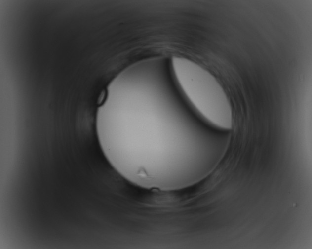 X0000096980279200802080905