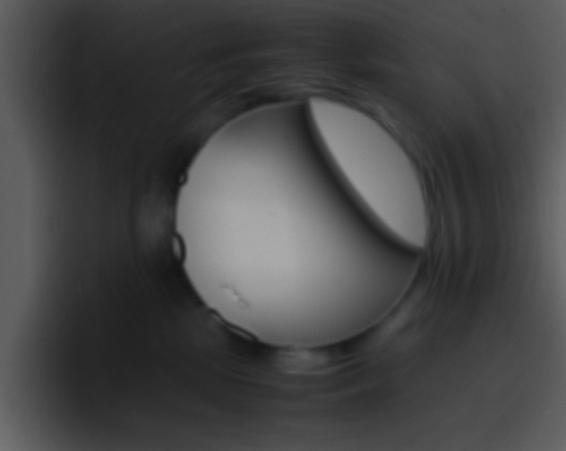 X0000096980281200802080905