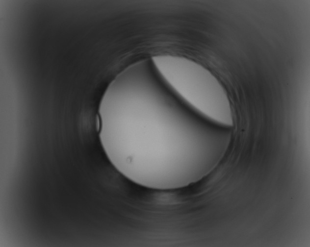 X0000096980283200802080905