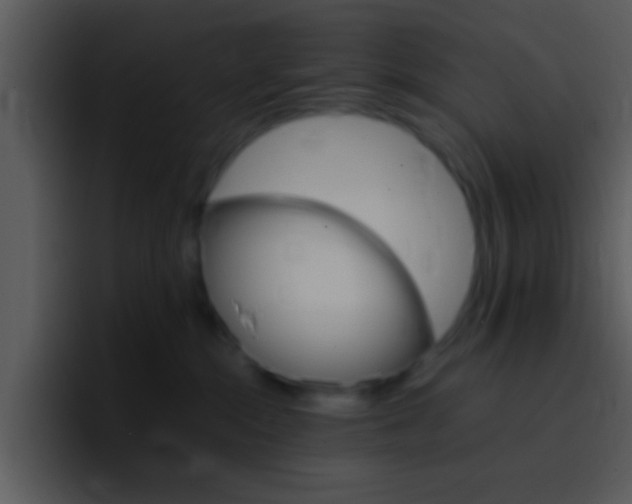 X0000096980284200802080905