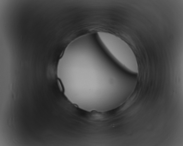 X0000096980285200802080905