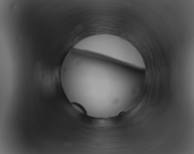 X0000096980286200802080905