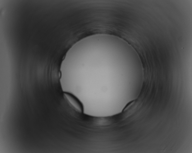X0000096980287200802080905