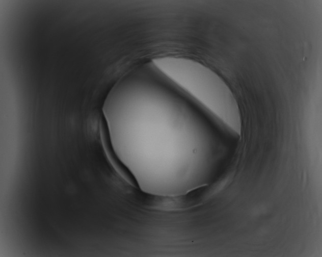 X0000096980288200802080905