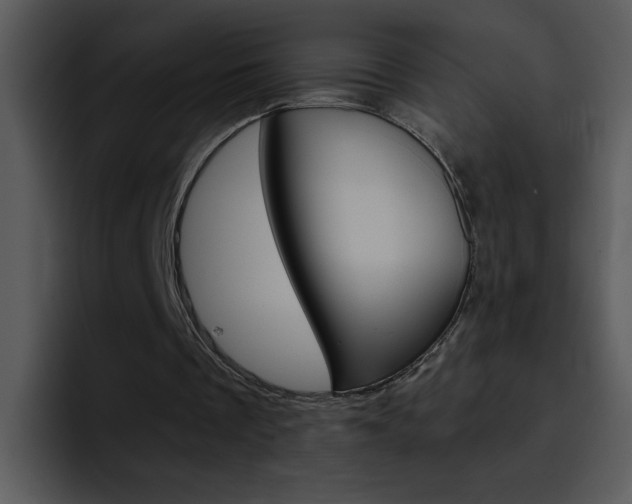 X0000096980289200802080905