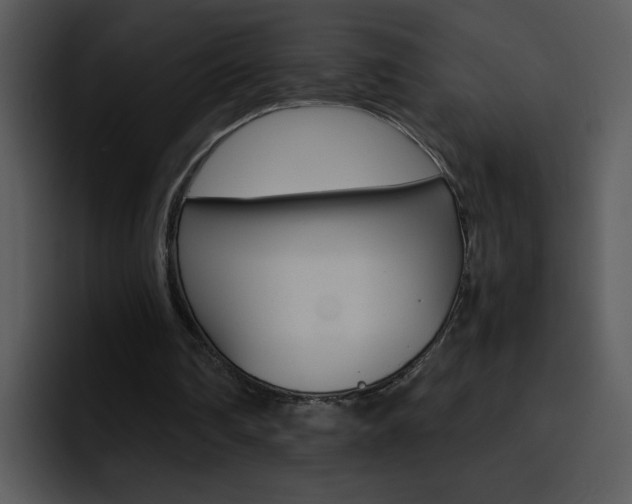 X0000096980290200802080905