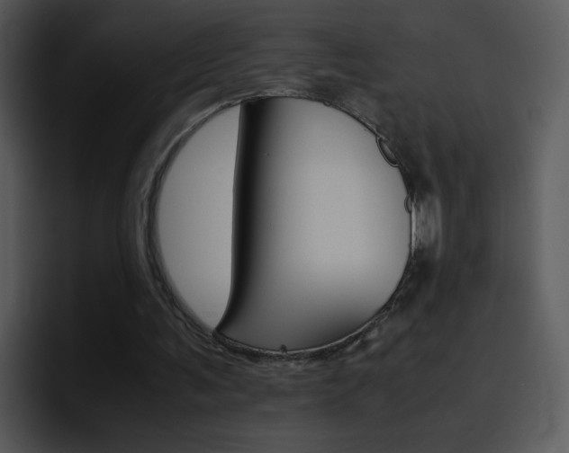 X0000096980291200802080905