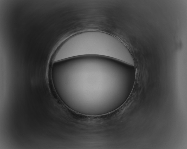 X0000096980292200802080905