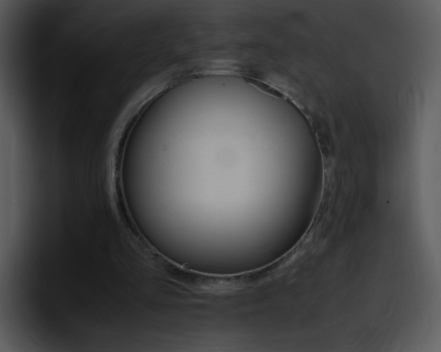 X0000096980293200802080905