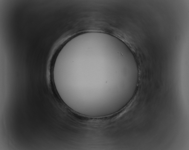 X0000096980294200802080905