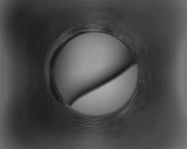 X0000096980295200802080905