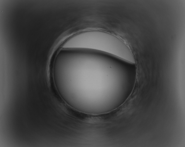 X0000096980296200802080905